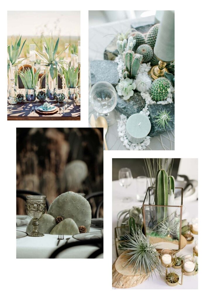 Decoração da festa: cactos-e-suculentas